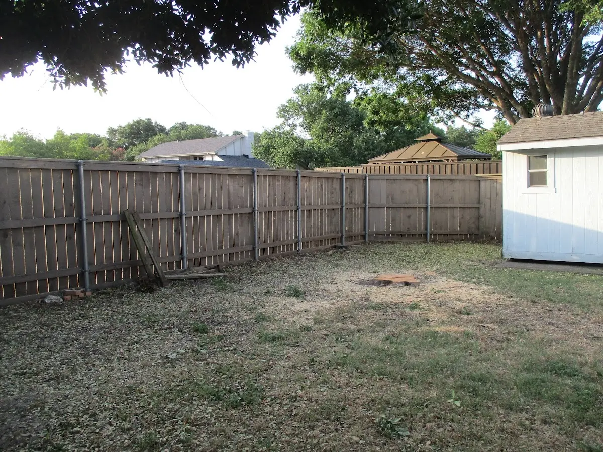 Cleared yard after professional tree removal in Ware